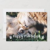 Happy Pawlidays Cat Dog Christmas Photo Red シーズンカード (正面)