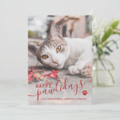 Happy Pawlidays Cat Photo Pet Red Christmas Holid シーズンカード (スタンド正面)