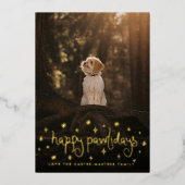 Happy Pawlidays Fun Stars Dog Photo 箔シーズンカード (正面)