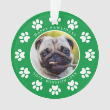 Happy Pawlidays Puppy Dog Pawsクリスマスフォト