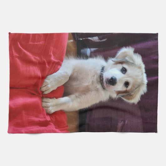 Happy Pup! Kitchen Towels キッチンタオル (横)