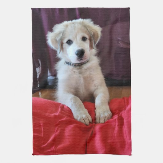 Happy Pup! Kitchen Towels キッチンタオル (縦)