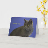 Happy Purr Day ロシアの Blue by Focus for a Cause カード (黄色い花)