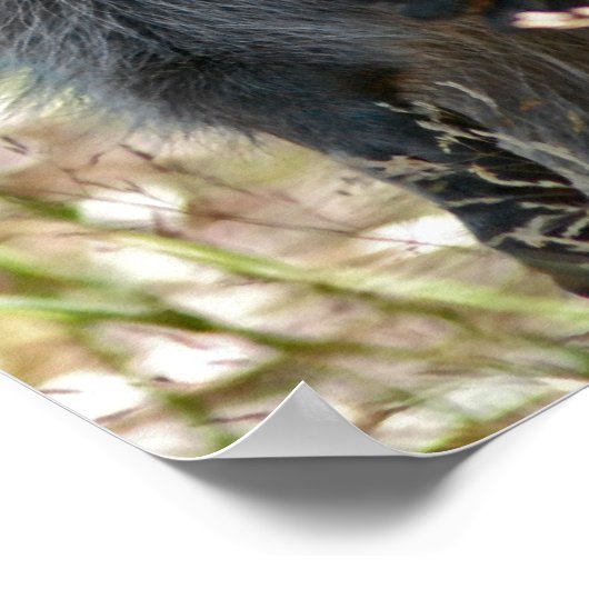 HAPPY RACCOON ポスター (角)