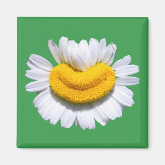 Happy Radiant Chamomile Smile マグネット (正面)