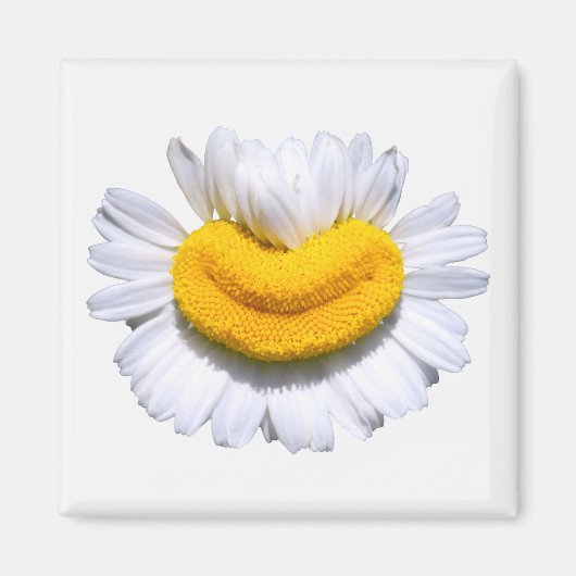 Happy Radiant Chamomile Smile  マグネット (正面)