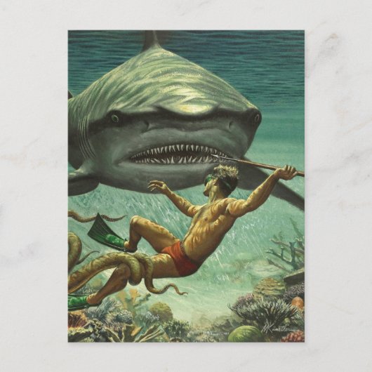 Happy Shark Week ポストカード (正面)