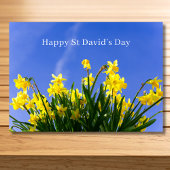 Happy St David’s Day Daffodils Welsh Greeting カード