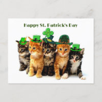 Happy St. Patrickのday catsはがき