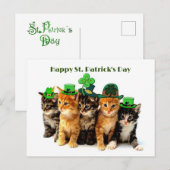Happy St. Patrickのday catsはがき ポストカード (正面/裏面)