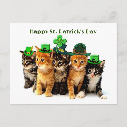 Happy St. Patrickのday catsはがき ポストカード (正面)