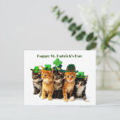Happy St. Patrickのday catsはがき ポストカード (スタンド正面)