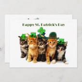 Happy St. Patrickのday cats invitation 招待状 (正面/裏面)