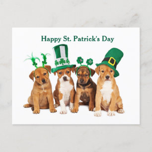 Happy St. Patrick's Day Dogsはがき シーズンポストカード