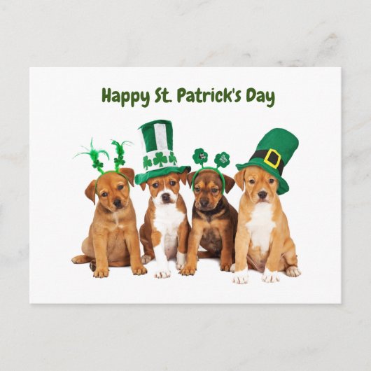 Happy St. Patrick's Day dogs シーズンポストカード (正面)