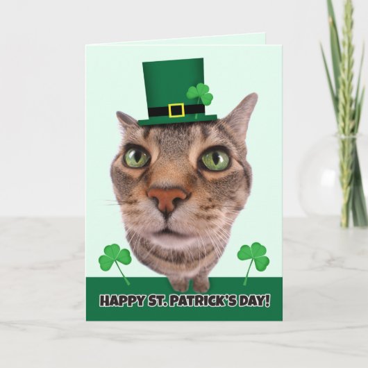 Happy St. Patrick's Day for anyone cat Mouer シーズンカード (正面)