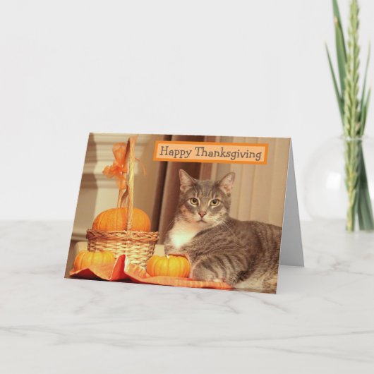 Happy Thanksgiving with Cat Greeting Card シーズンカード (正面)