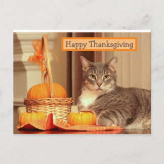 Happy Thanksgiving with Cat Greeting Card シーズンポストカード