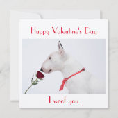 Happy Valentine's Day Bull Terrier with a Rose カード (正面)