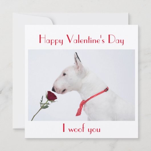 Happy Valentine's Day Bull Terrier with a Rose カード (正面)