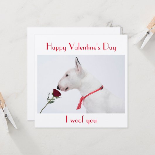 Happy Valentine's Day Bull Terrier with a Rose カード (正面/裏面インサイチュ)