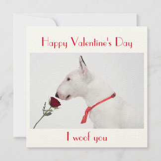 Happy Valentine's Day Bull Terrier with a Rose カード