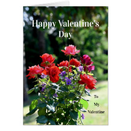 Happy Valentine's Day Card