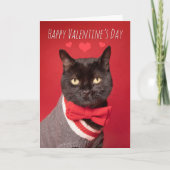 Happy Valentine's Day Handsome Black Cat Bow Tie シーズンカード (正面)