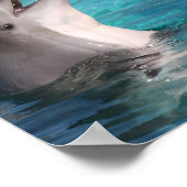 Happy Vibes Smiling Dolphinまたは写真の追加 ポスター (角)