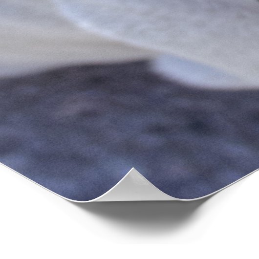 Happy White Bulldog ポスター (角)