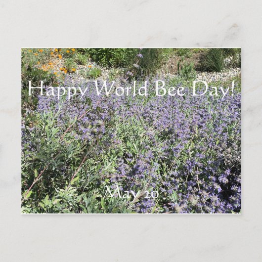 Happy World Bee Day!はがきポストカード ポストカード (正面)