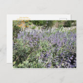 Happy World Bee Day！はがき ポストカード (正面/裏面)