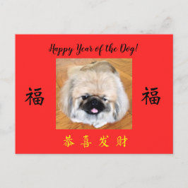 Happy Year of the Dog Pekingese CNYはがき シーズンポストカード