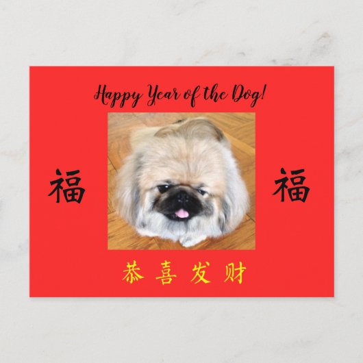 Happy Year of the Dog Pekingese CNYはがき シーズンポストカード (正面)