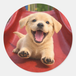 Happy Yellow Labrador Puppy Sliding a slide ラウンドシール
