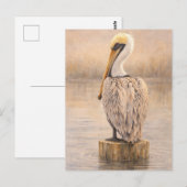 Harbor Pelican | 海の生き物のアート ポストカード (正面/裏面)