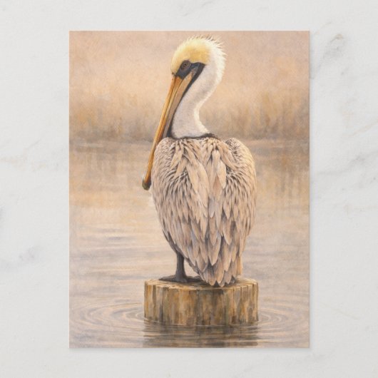 Harbor Pelican | 海の生き物のアート ポストカード (正面)
