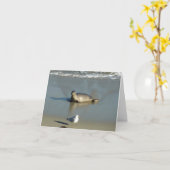 Harbor Seal at La Jolla California カード (黄色い花)