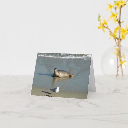 Harbor Seal at La Jolla California カード (黄色い花)