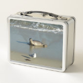 Harbor Seal at La Jolla California メタルランチボックス (裏面)