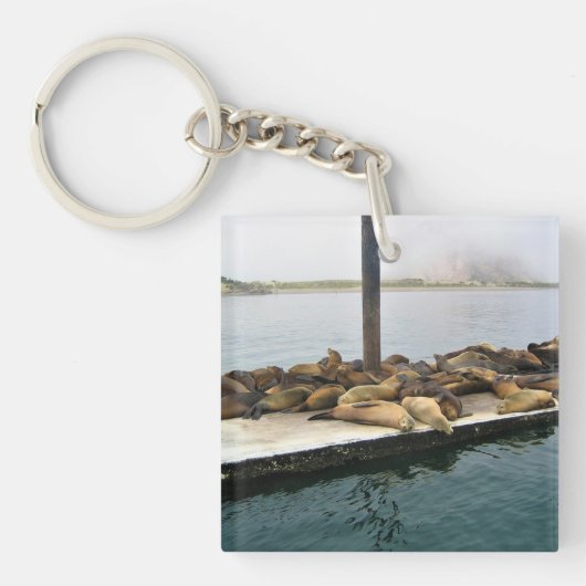 Harbor Seales、Morro Bay、カリフォルニア キーホルダー (正面)