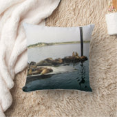 Harbor Seales、Morro Bay、カリフォルニア クッション (ブランケット)
