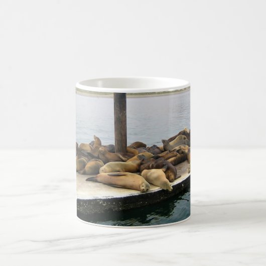 Harbor Seales、Morro Bay、カリフォルニア コーヒーマグカップ (中央)