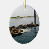 Harbor Seales、Morro Bay、カリフォルニア セラミックオーナメント (右)