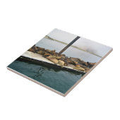 Harbor Seales、Morro Bay、カリフォルニア タイル (側面)