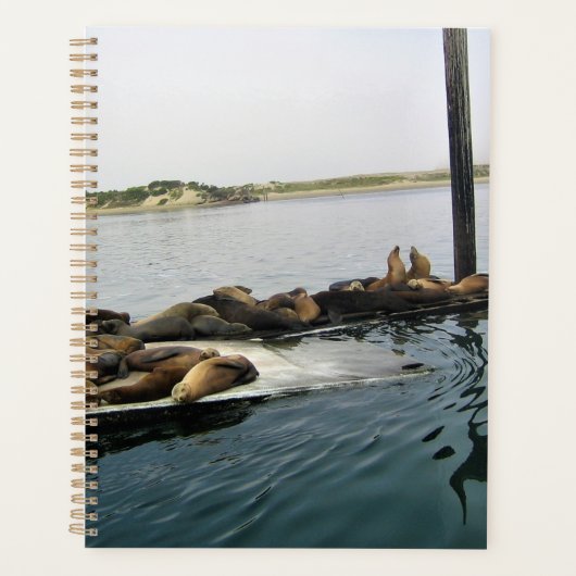 Harbor Seales、Morro Bay、カリフォルニア プランナー手帳 (正面)