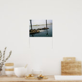 Harbor Seales、Morro Bay、カリフォルニア ポスター (キッチン)