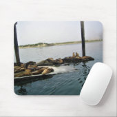 Harbor Seales、Morro Bay、カリフォルニア マウスパッド (マウス)