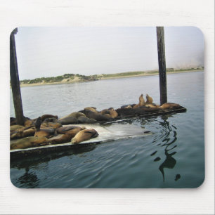 Harbor Seales、Morro Bay、カリフォルニア マウスパッド