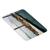 Harbor Seales、Morro Bay、カリフォルニア マグネット (右側)